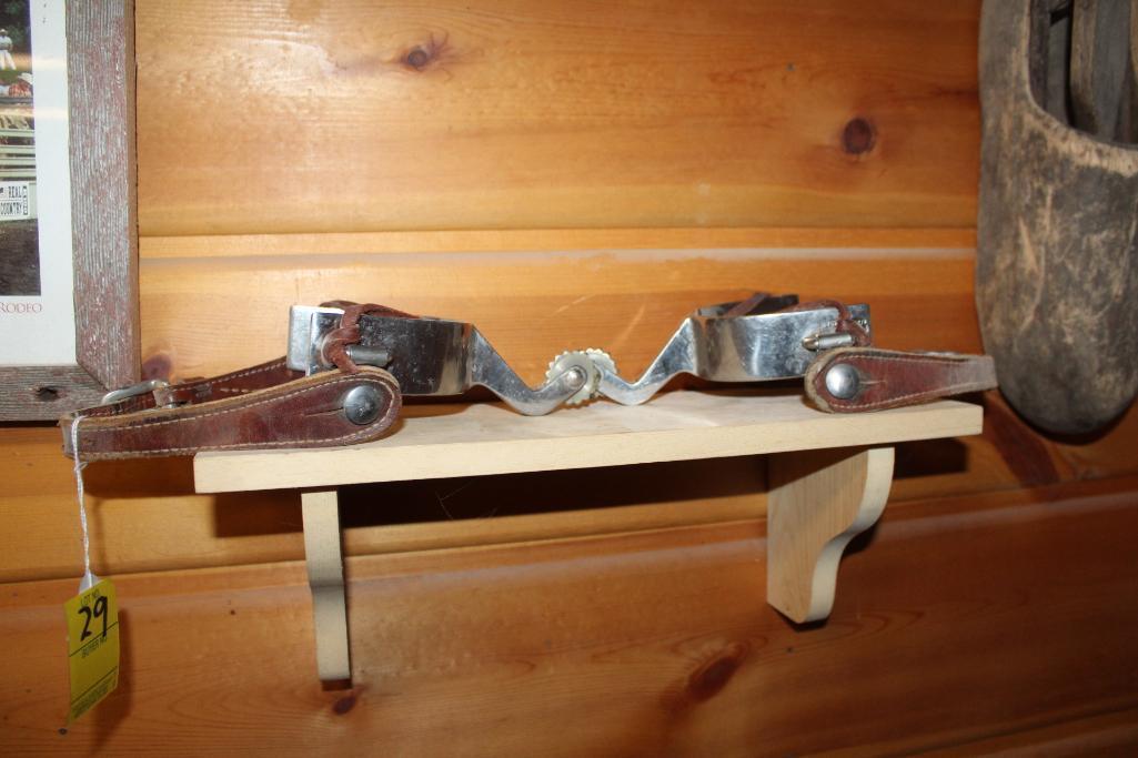 STAINLESS STEEL SPURS