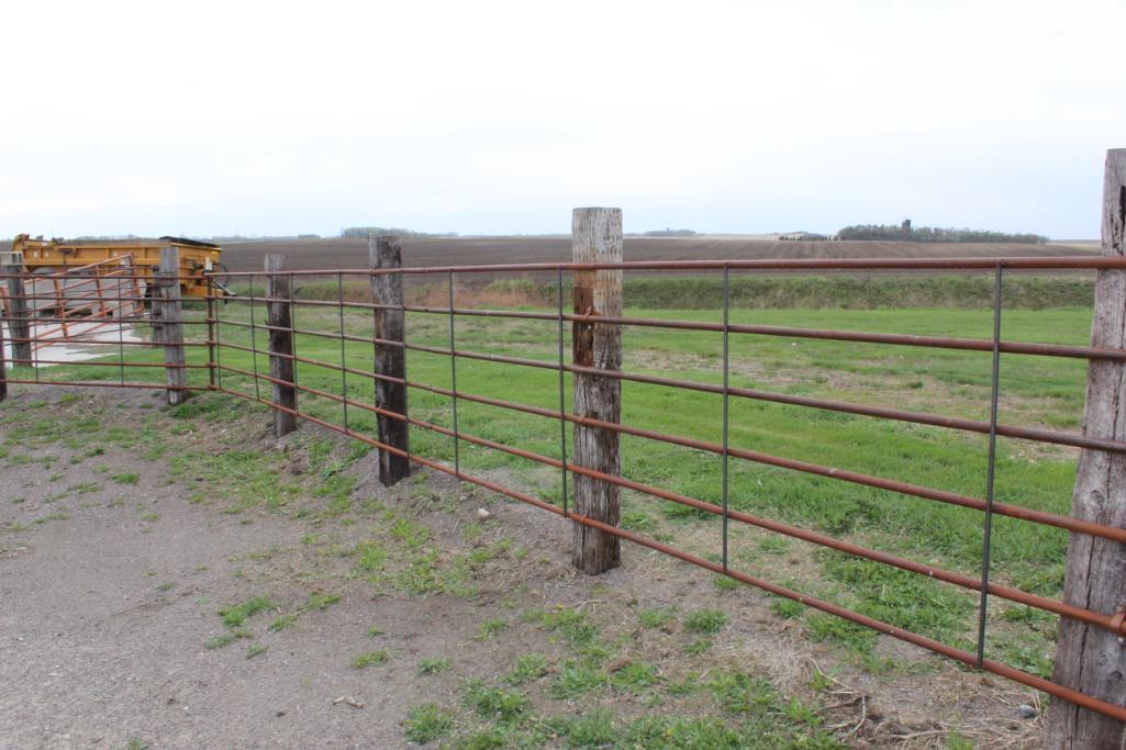 (4) APPROX 20' & (1) 17' SECTIONS OF ENDLESS FENCING,