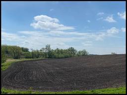 39.6 Acres of Farm Land Located in Green Lake Twp, Section 33, T-120-N, R-34-W, Kandiyohi Co.