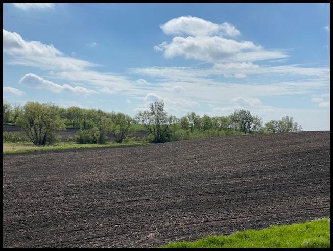 39.6 Acres of Farm Land Located in Green Lake Twp, Section 33, T-120-N, R-34-W, Kandiyohi Co.