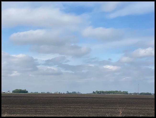 157.9 Acres Located in SE 1/4 of Section 8, Lake Lillian Twp, Twp-117-N, R-34-W, Kandiyohi Co.