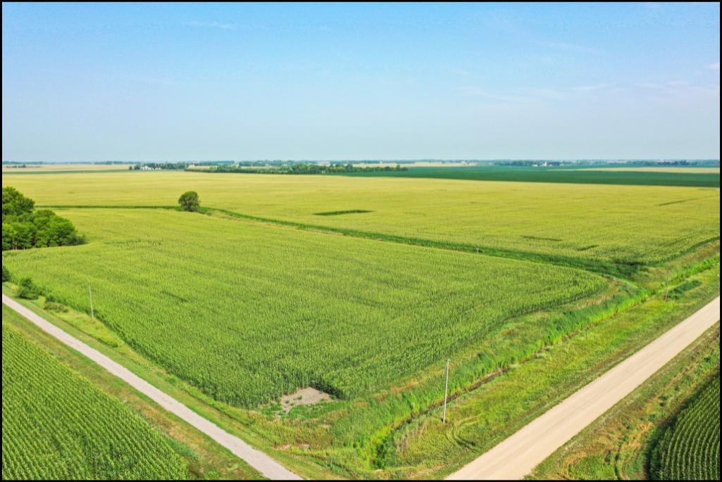 157.9 Acres Located in SE 1/4 of Section 8, Lake Lillian Twp, Twp-117-N, R-34-W, Kandiyohi Co.