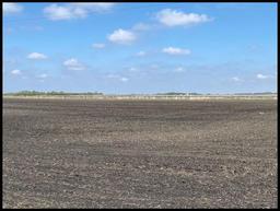 157.9 Acres Located in SE 1/4 of Section 8, Lake Lillian Twp, Twp-117-N, R-34-W, Kandiyohi Co.