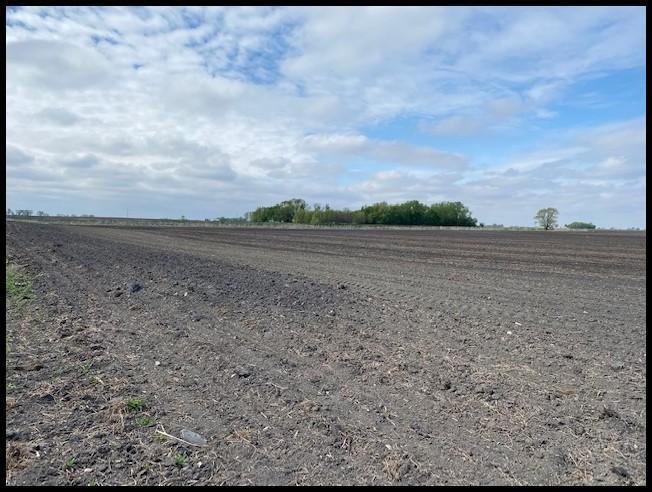 157.9 Acres Located in SE 1/4 of Section 8, Lake Lillian Twp, Twp-117-N, R-34-W, Kandiyohi Co.