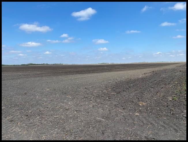 157.9 Acres Located in SE 1/4 of Section 8, Lake Lillian Twp, Twp-117-N, R-34-W, Kandiyohi Co.