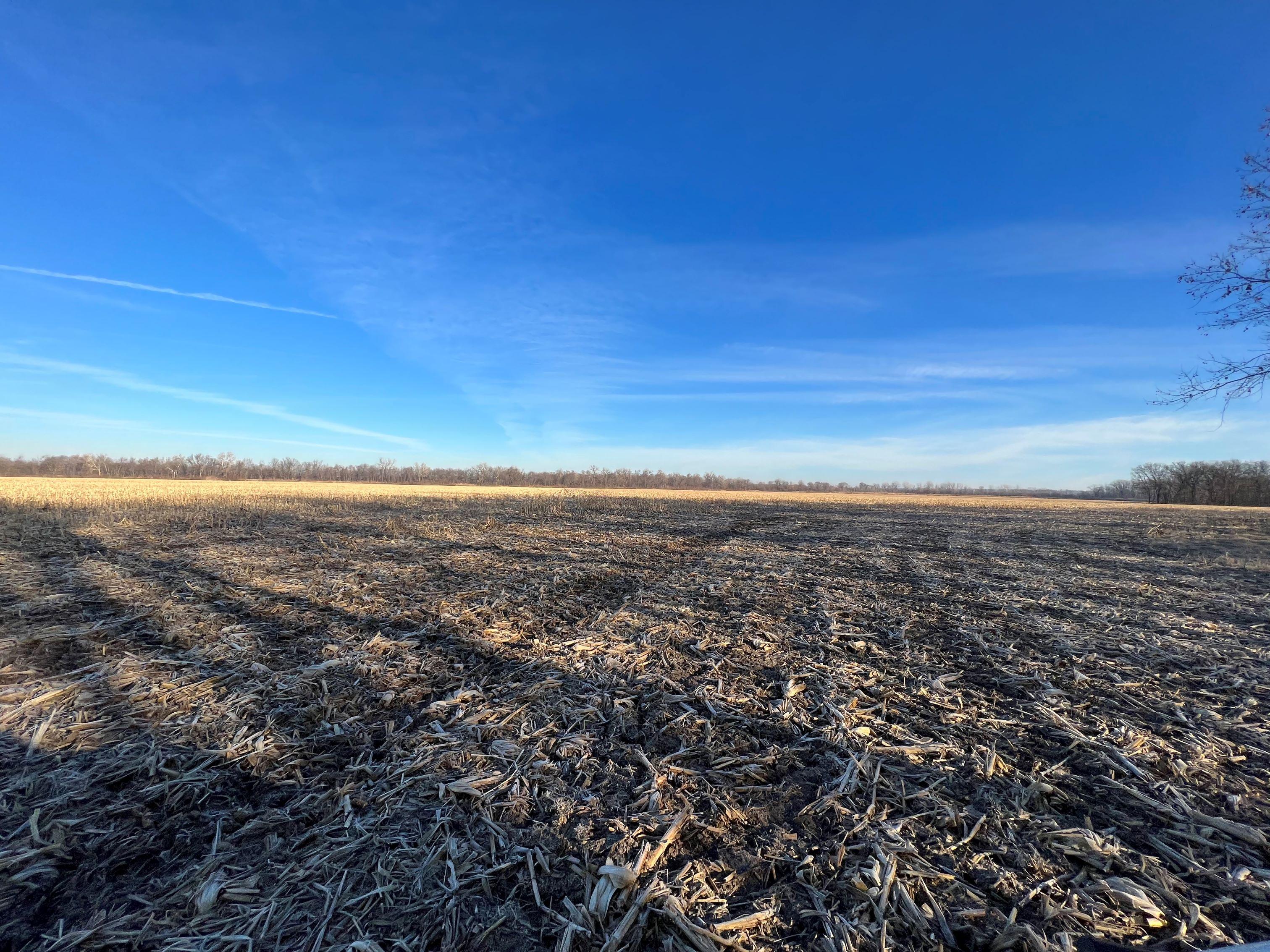 330 Acre Grand River Bottom Auction