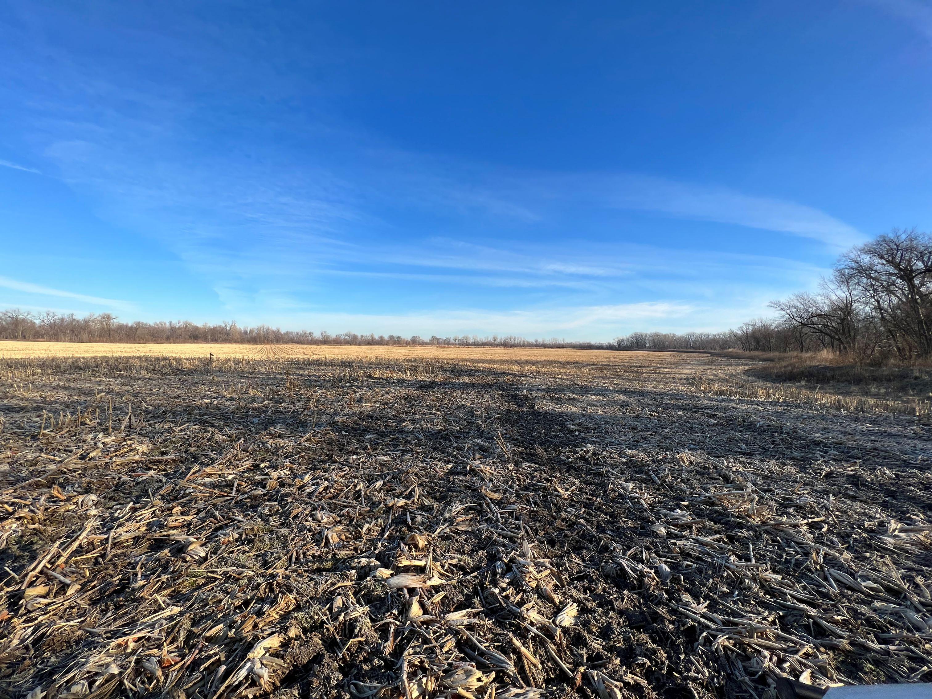 330 Acre Grand River Bottom Auction