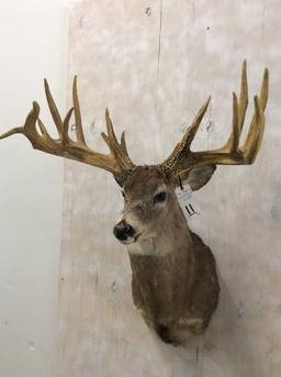 REPRODUCTION-THE GOTT BUCK FROM OHIO