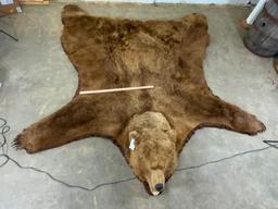 HUGE Brown Bear Rug