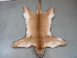 BEAUTIFUL FELTED MOUNTAIN LION RUG