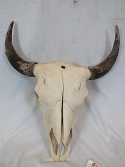 LARGE BISON SKULL