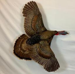 LIFESIZE FLYING TURKEY