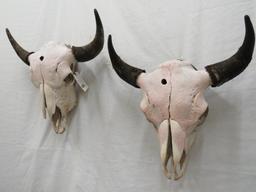 2 BUFFALO SKULLS