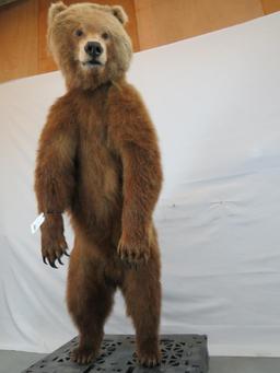 LIFESIZE BROWN BEAR