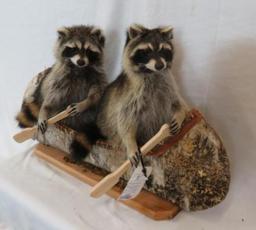 2 RACCOONS IN A CANOE