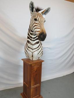 BEAUTIFUL ZEBRA PEDESTAL