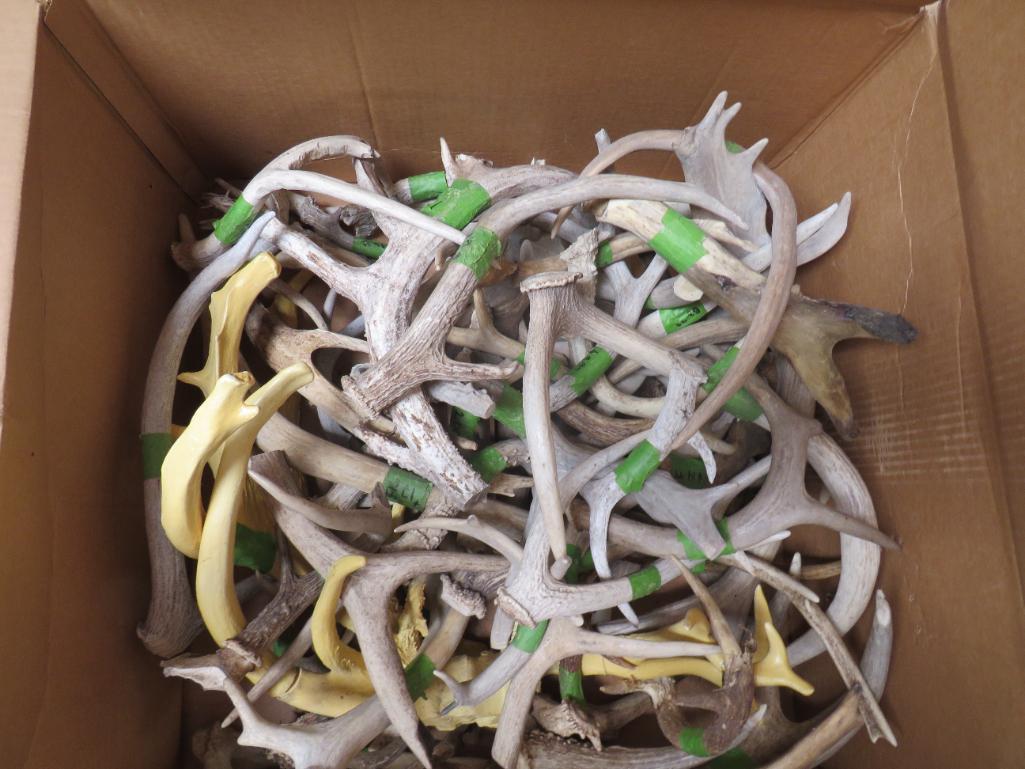 30 LBS OF ASSORTED ANTLERS