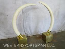 Elephant Ivory / Tusks *TX RESIDENTS ONLY* TOTAL IVORY WEIGHT 89.3LBS TAXIDERMY