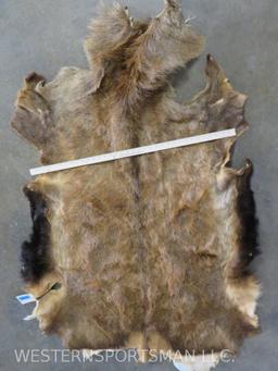 Elk Hide TAXIDERMY