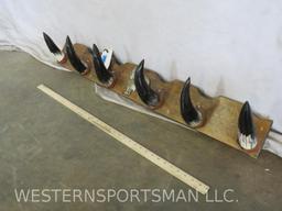 Cow Horn Hat Rack TAXIDERMY
