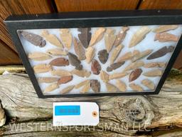 44 Nice Arrow heads in a Glass display case. 12 1/4 inches long x 8 1/4 inches wide... GREAT non Tax