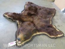 Felted Cinnamon Black Bear Rug w/Mounted Head 6'2"x5'2" TAXIDERMY