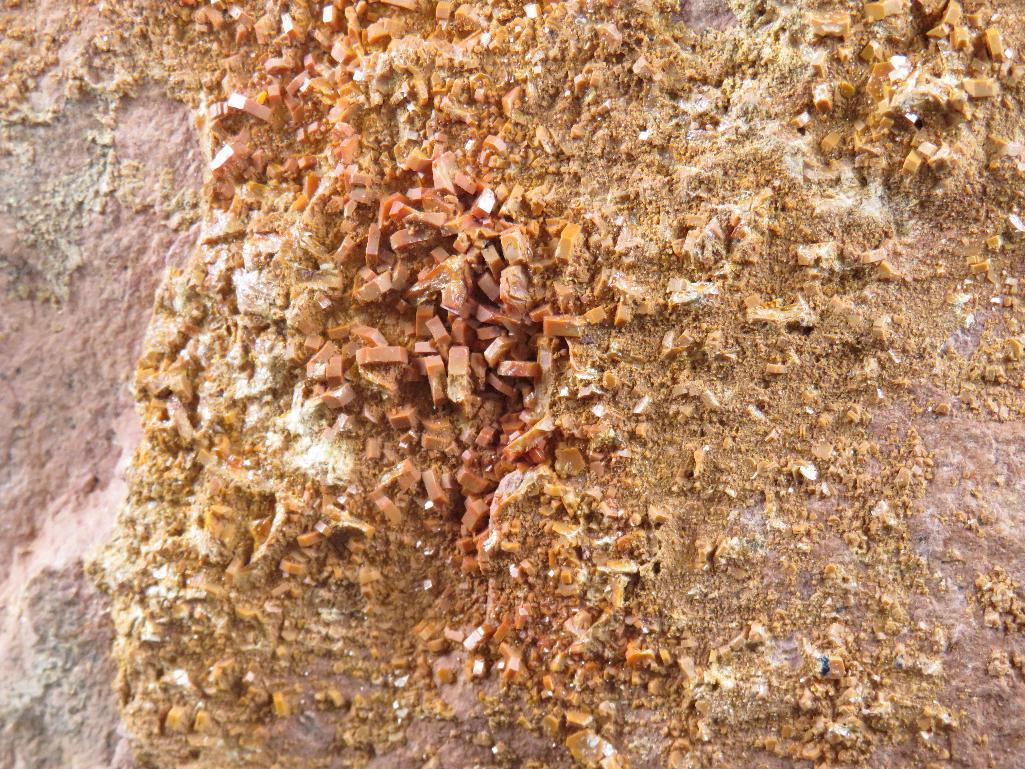 Beautiful and Rare Vanadite Crystal Formation on Red Sand Stone (Morocco) Collector Specimen