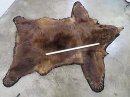 Felted Cinnamon Phase Black Bear Rug w/Mounted Head, all claws TAXIDERMY