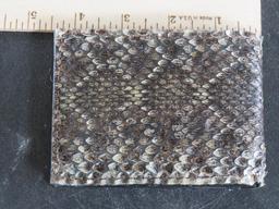 Brand New Western Diamondback Rattlesnake Skin Wallet TAXIDERMY