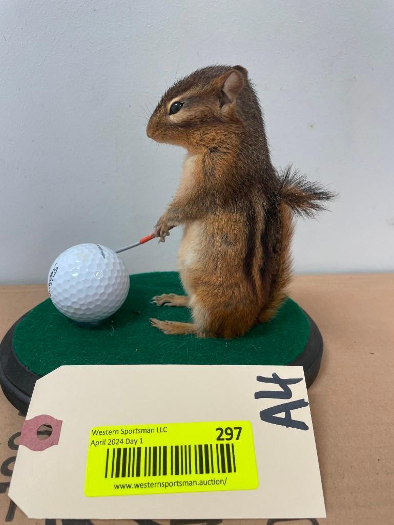 Cute little golfing Chipmuck , on green with club and ball. 6 inches tall, on wood base 7 X 5 inches