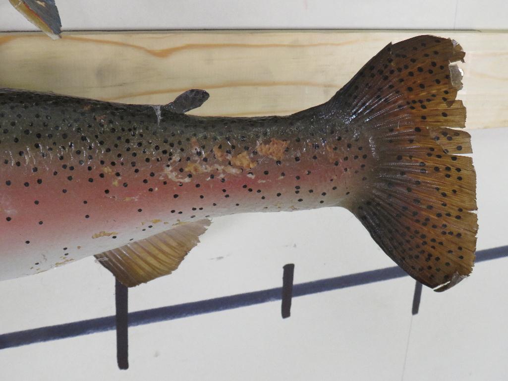 2 Vintage Real Skin Fish (ONE$) TAXIDERMY