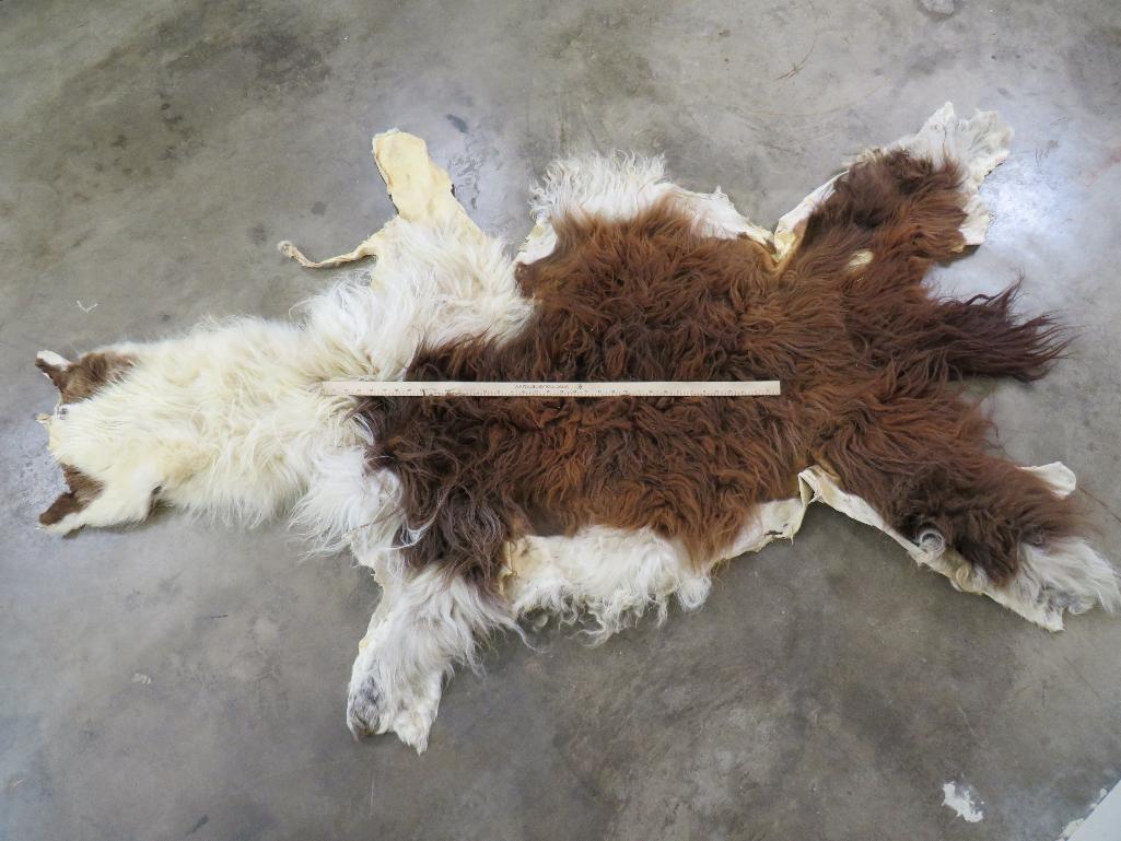 Alpaca Hide TAXIDERMY