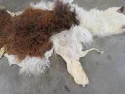 Alpaca Hide TAXIDERMY