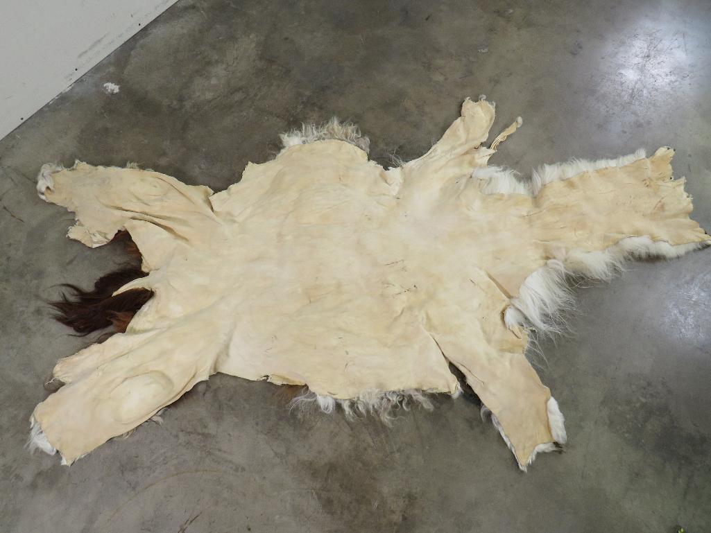 Alpaca Hide TAXIDERMY