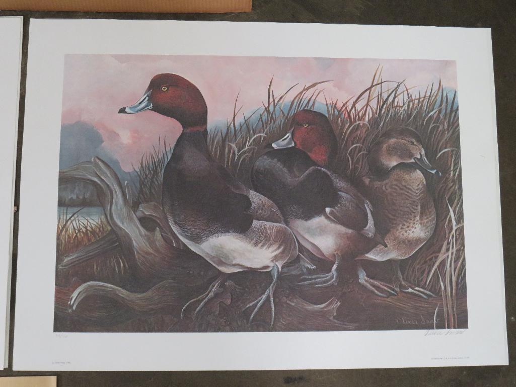 2 Oliver Snow Duck Prints signed by Oliver Snow 399/750 & 399/750 (ONE$) ART