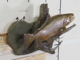 Very Nice Repro Brown Trout on Realistic Scene TAXIDERMY