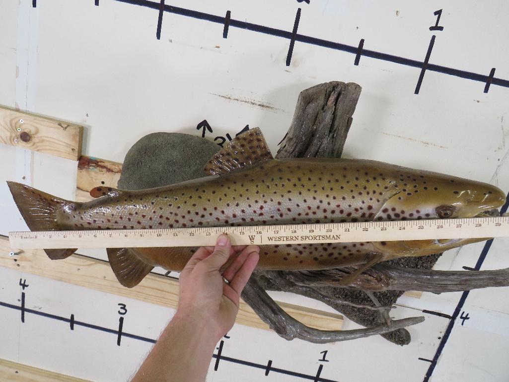 Very Nice Repro Brown Trout on Realistic Scene TAXIDERMY