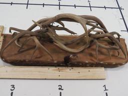 Antler Wall Hanger/Shelf w/Axis Hide TAXIDERMY