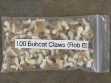 100 Bobcat Claws (ONE$) TAXIDERMY