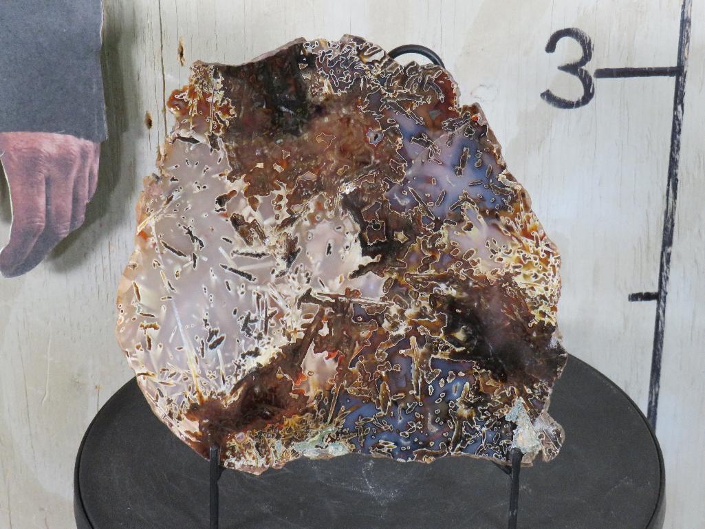 Beautiful Stick Agate Slab from Turkey *Stand not included* ROCKS & MINERALS