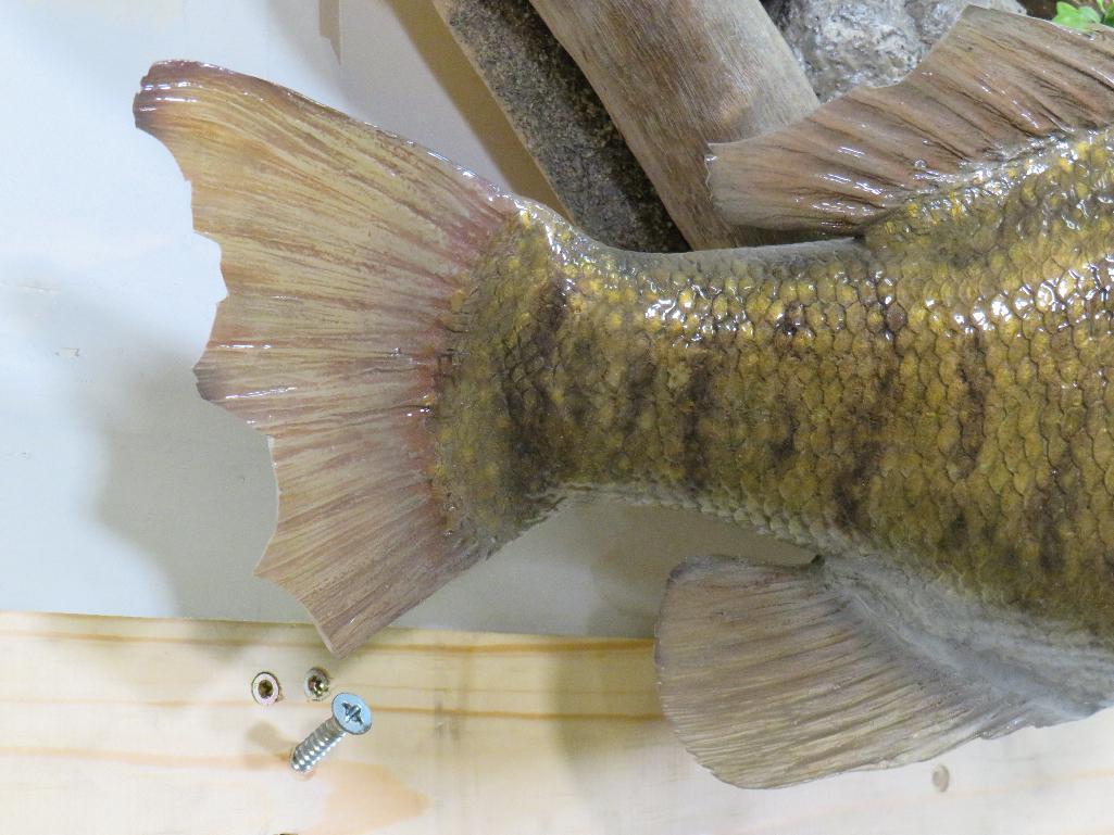 Reproduction Bass on Very Nice Natural Wood Scene TAXIDERMY