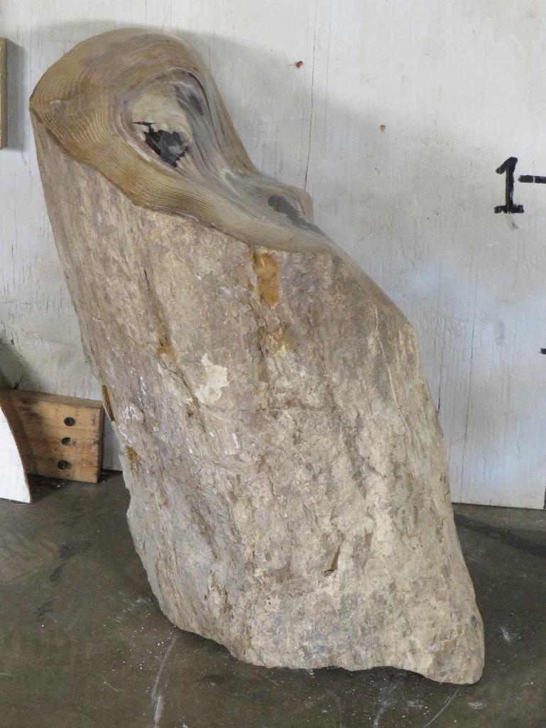 Log Contour Polished from Holleywood Ranch Sweet Home ROCKS & MINERALS