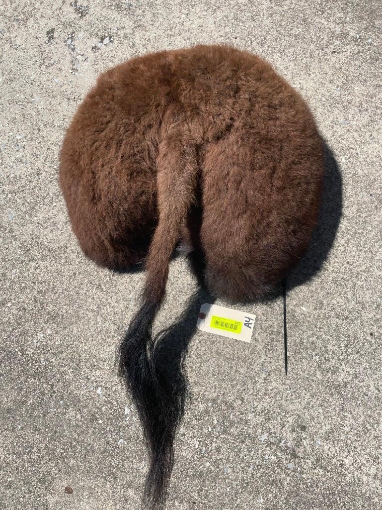 Buffalo / Bison Rump,/ butt. NEW taxidermy 22 inches wide, about 11 inches out from wall & 36 inches