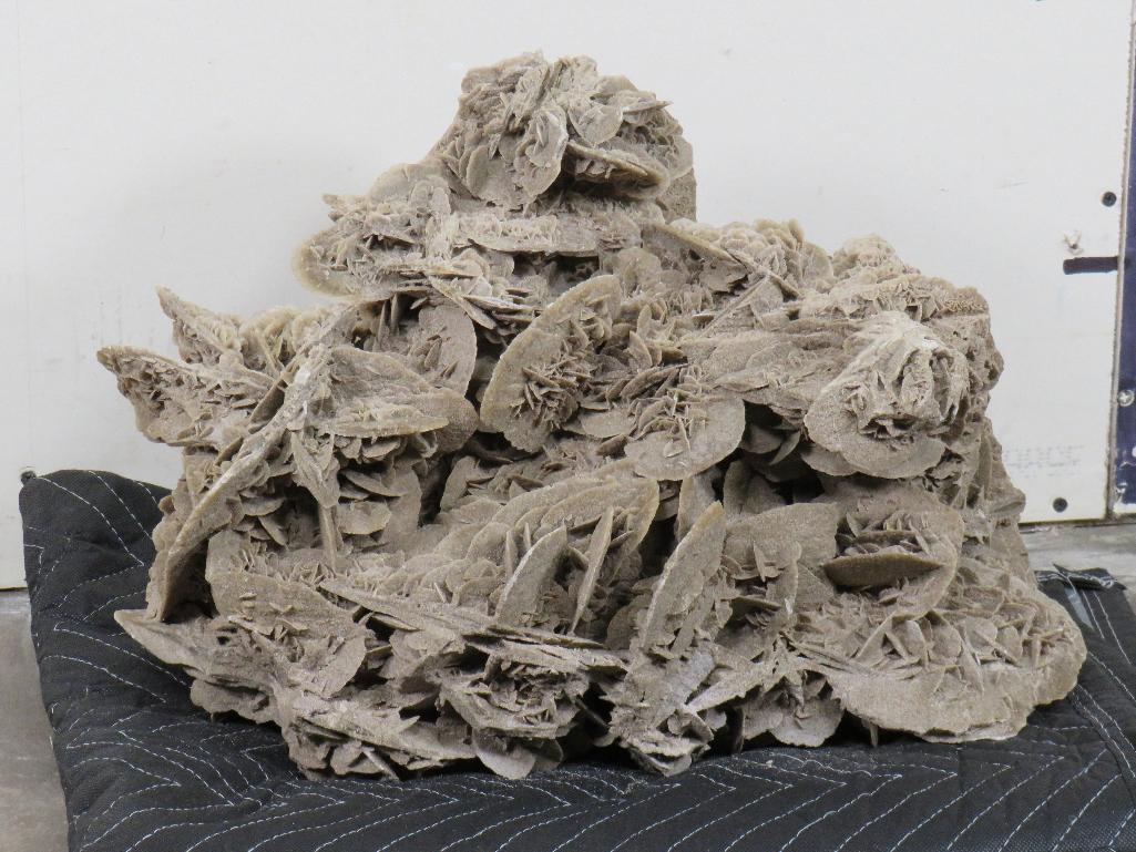 XXL 43LB Desert Rose Gypsum Crystal Formation, Beautiful Specimen CRYSTALS ROCKS&MINERALS