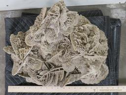 XXL 43LB Desert Rose Gypsum Crystal Formation, Beautiful Specimen CRYSTALS ROCKS&MINERALS