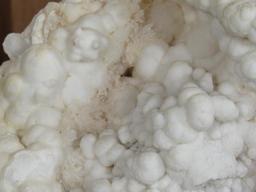 Beautiful White Argonite/Natural Kokoweef Formation/Cluster w/Stand ROCKS & MINERALS