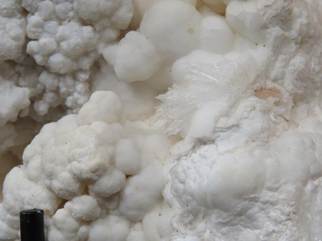 Beautiful White Argonite/Natural Kokoweef Formation/Cluster w/Stand ROCKS & MINERALS