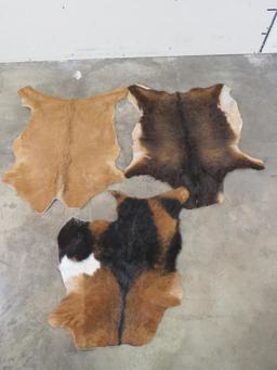 3 Goat Hides, one partial (ONE$) TAXIDERMY