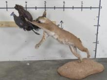 Lifesize Caracal Cat Leaping at a Guinea Fowl on Base TAXIDERMY