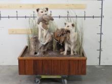 Very Nice Lifesize Double Fox w/Grouse Pedestal TAXIDERMY